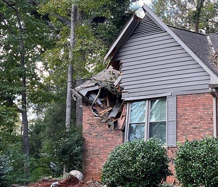 house with tree through roof